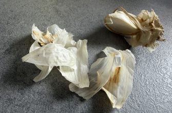 Slupky od česneku