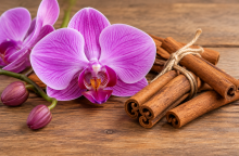 Orchidej a skořice