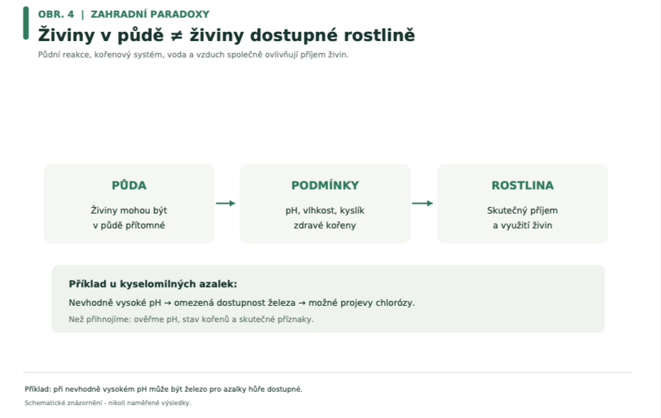 Dostupnost živin